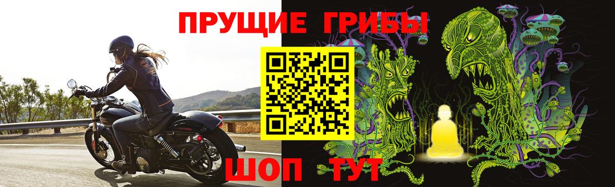 Галлюциногенные грибы мицелий Алексеевка